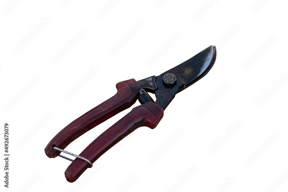 Obraz premium Vine shears on white background.