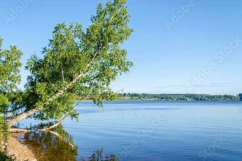 Photo of a lake in summer in sunny weather 