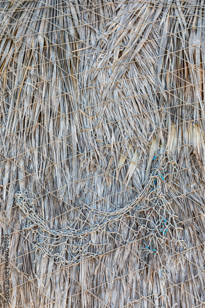 Fototapeta premium Weathered palm fronds on a palapa on a beach in Baja.