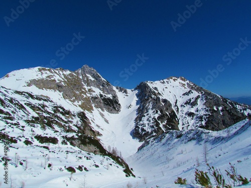 Winter view of mountains Draski Vrh and Visevnik above Pokljuka in Triglav national park and Julian alps in Gorenjska, Slovenia on a clear day