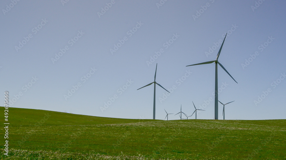 Fototapeta premium Wind turbines on a hillside in the pasture 