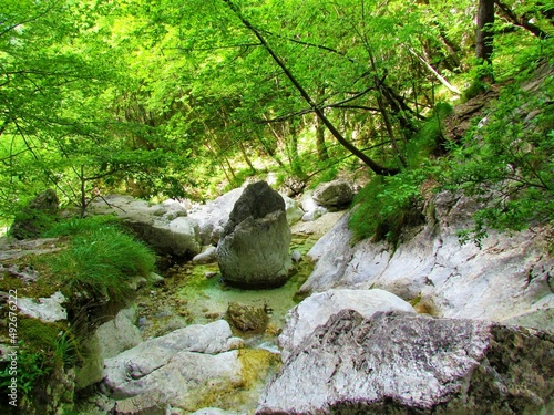 Creek under Orglice waterfall in Kamniska Bistrica, Slovenia with a rock in the shape of a reuleaux photo