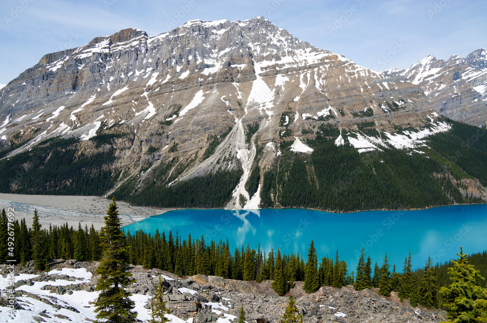 peyto lake