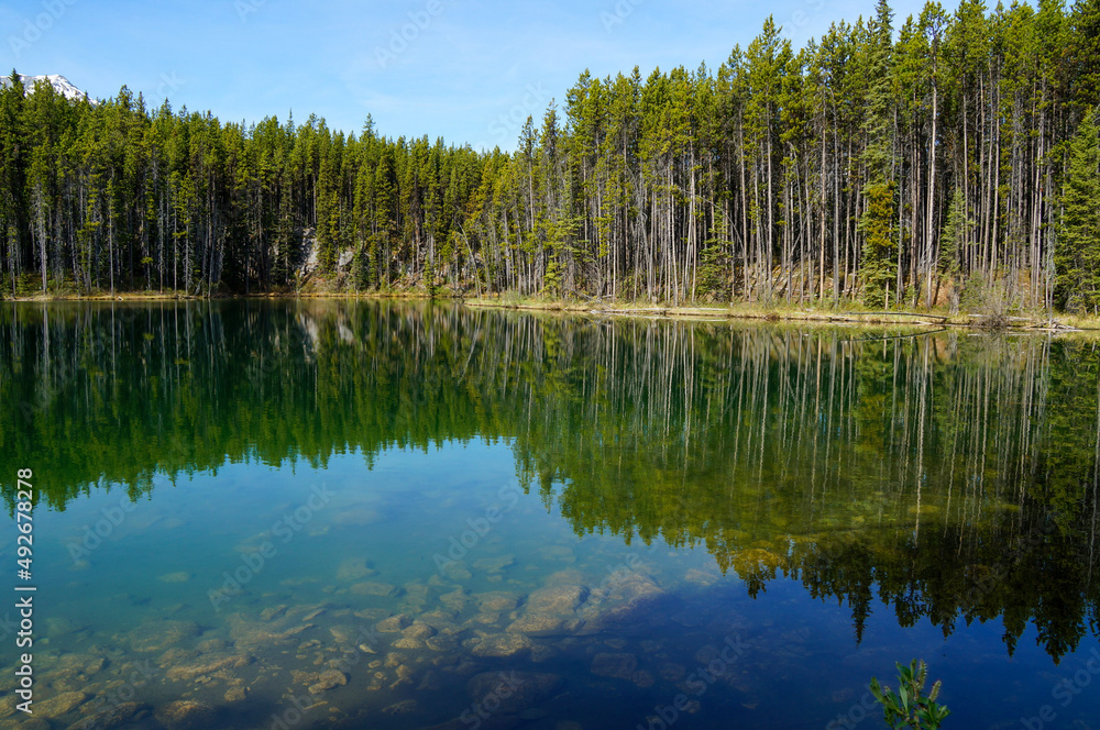 lake in the forest