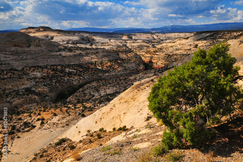 The sandstone landscape of Calf Creek Canyon from The Hogback stretch of Utah Scenic Highway 12, Grand Staircase-Escalante National Monument between Escalante and Boulder, Utah, southwest USA photo