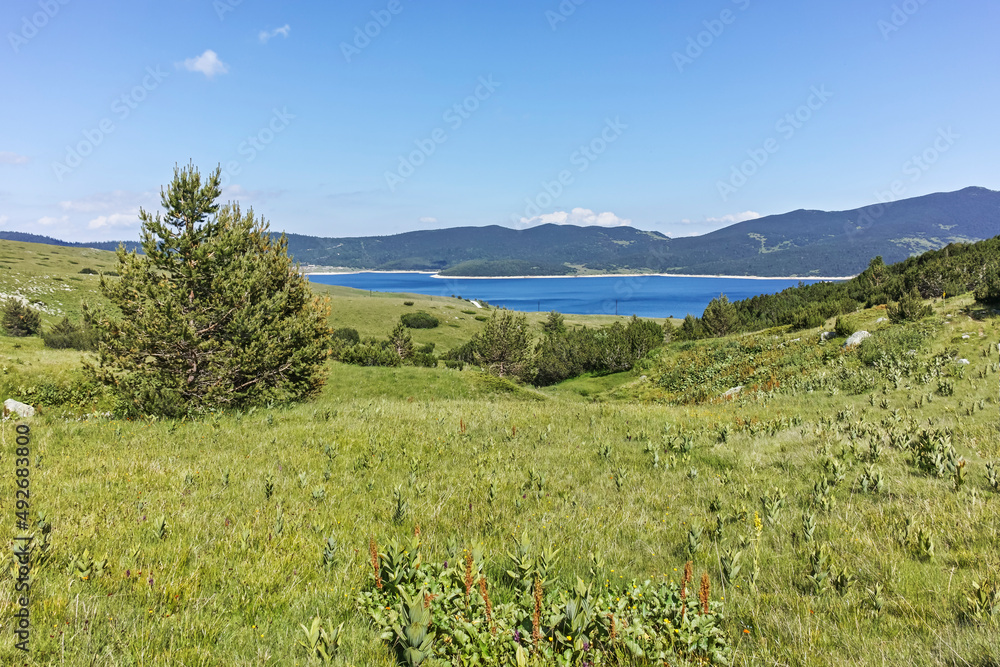 Obraz premium Belmeken Reservoir, Rila mountain, Bulgaria