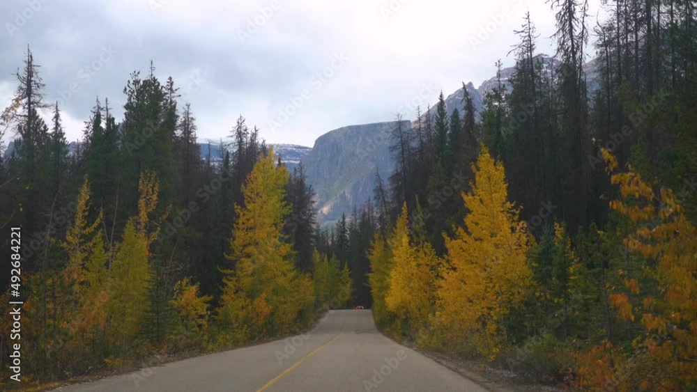 Driving on Road in Colorful Mountain Landscape in Autumn Season, Drivers POV of Road and Forest, Slow Motion