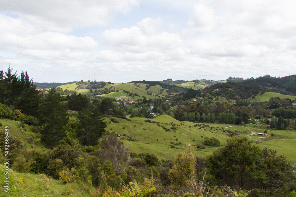 Countryside landscape with green hills, forest and country houses, Puhoi, New Zealand.