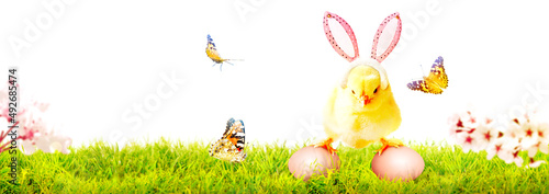Little cute newborn baby chick for Easter celebration.