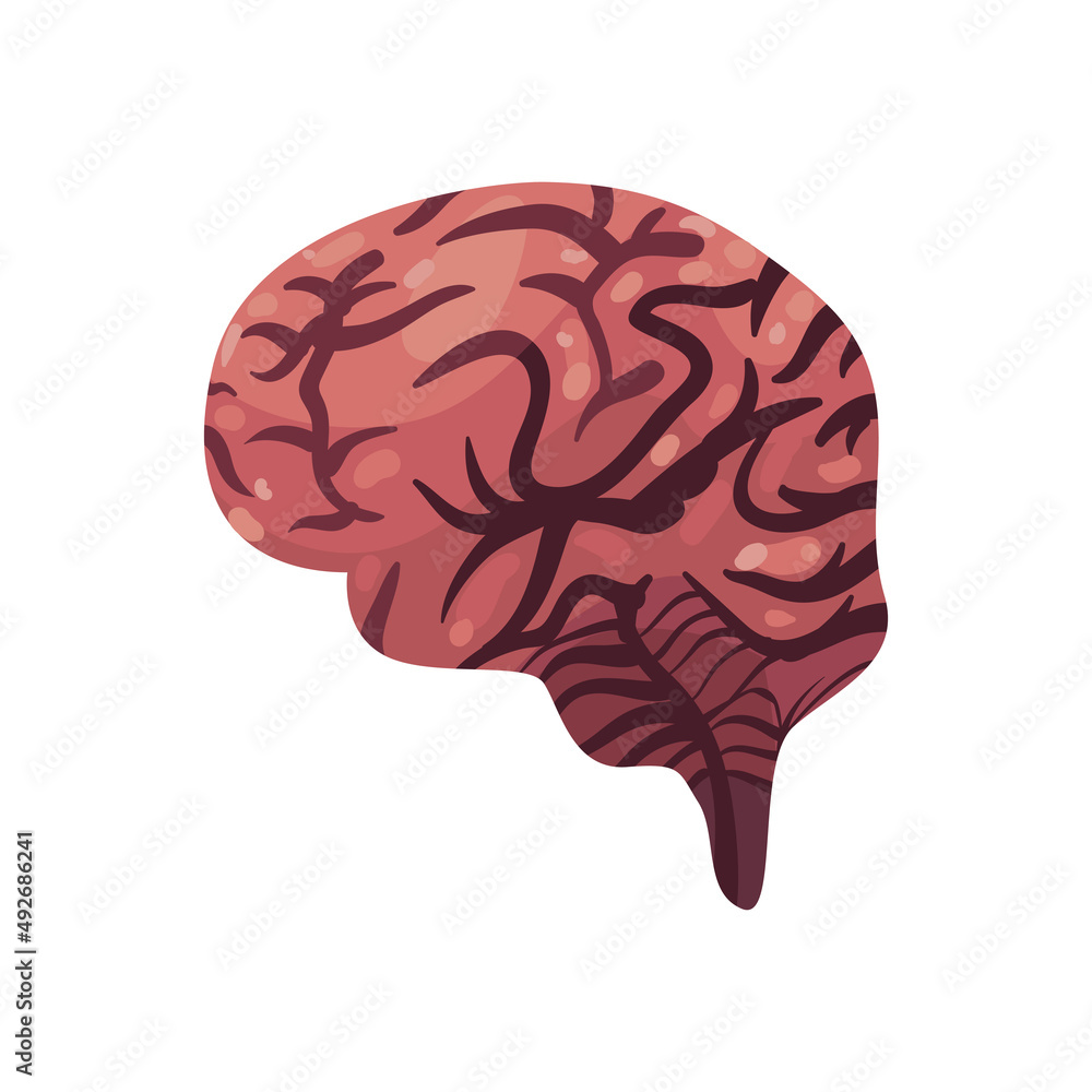 flat realistic brain design flat realistic brain design