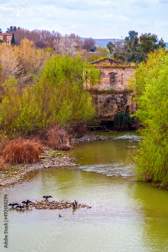 View from the Guadalquivir ...