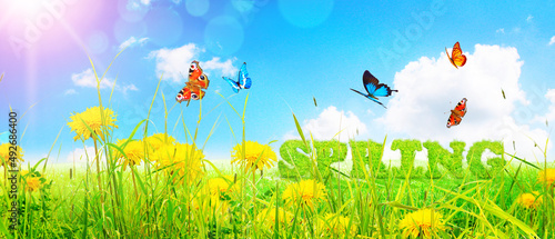 Spring and summer panorama with word spring.