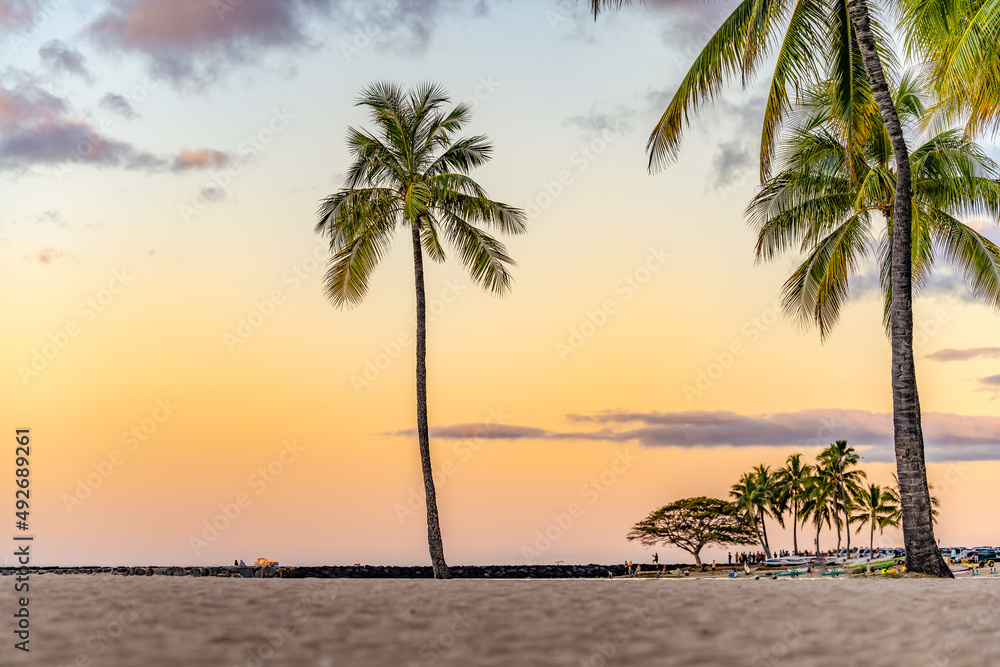 A palm tree in focus in the center of the frame, at sunset, on Waikiki Beach in Honolulu, Hawaii, with people blurred and unrecognizable in the distance, at sunset.