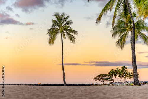 A palm tree in focus in the center of the frame  at sunset  on Waikiki Beach in Honolulu  Hawaii  with people blurred and unrecognizable in the distance  at sunset.