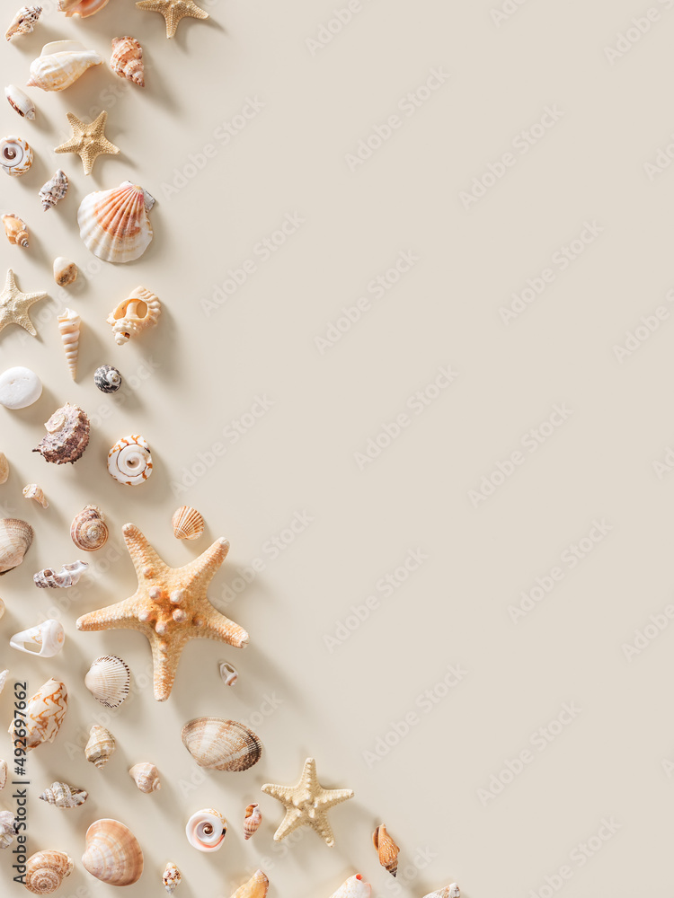 Seashells and starfish with shadows on beige pastel background at sunlight. Summer vacation concept. Nautical design. Modern flat lay shells, sea stars, stones minimal style card. Top view