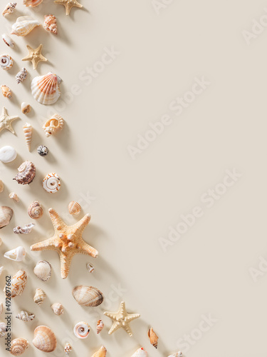 Fototapeta Naklejka Na Ścianę i Meble -  Seashells and starfish with shadows on beige pastel background at sunlight. Summer vacation concept. Nautical design. Modern flat lay shells, sea stars, stones minimal style card. Top view