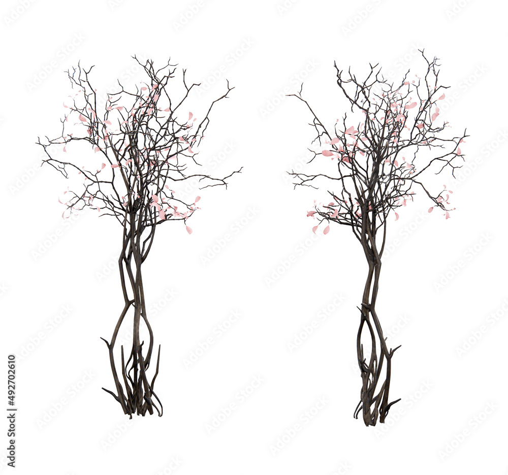 Obraz premium Isometric cherry blossom plant 3d rendering
