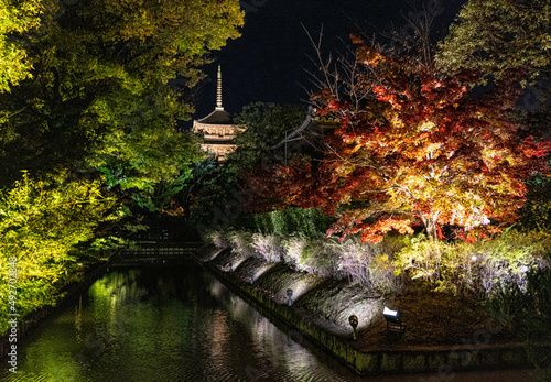 Autumn leaves light up and Toji Five-storied Pagoda in kyoto