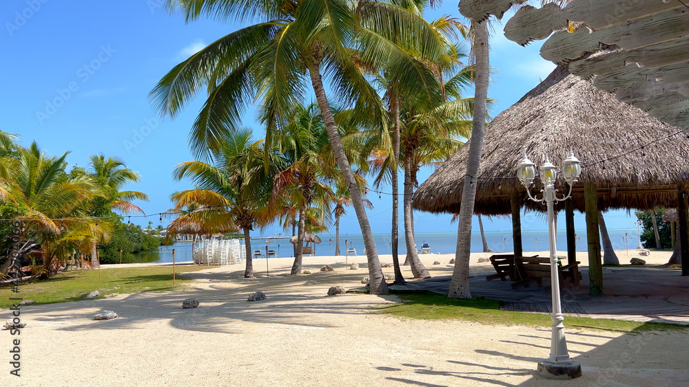 Wonderful Caribbean Paradise Beach with palm trees - travel photography