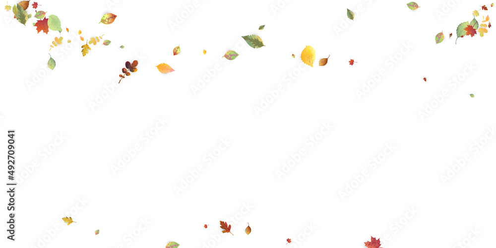 Leaves Falling Autumn Foliage Chaotic Leaf Flying Leaves Falling Autumn Foliage Chaotic Leaf Flying