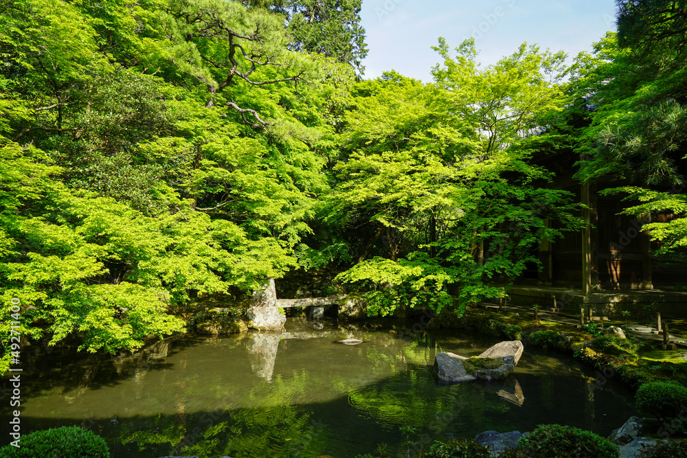 蓮華寺の庭園 蓮華寺の庭園