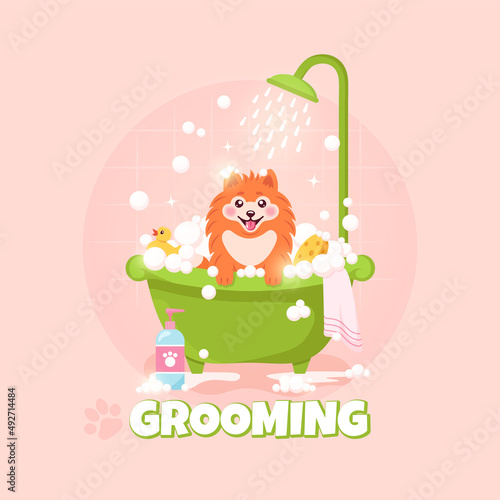 Dog grooming. An orange spitz dog sits in a green bathroom with soap bubbles under the shower on a peach background. Vector illustration.