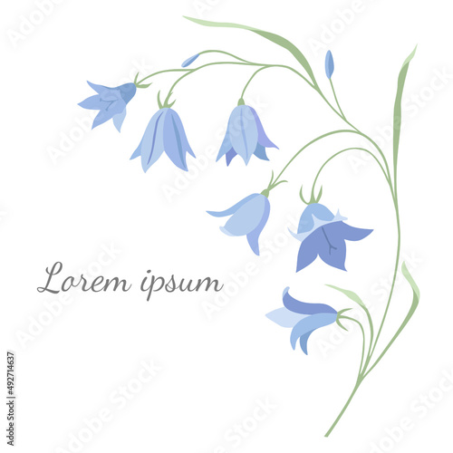 Vector card template with light blue campanulas