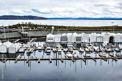 boats in marina