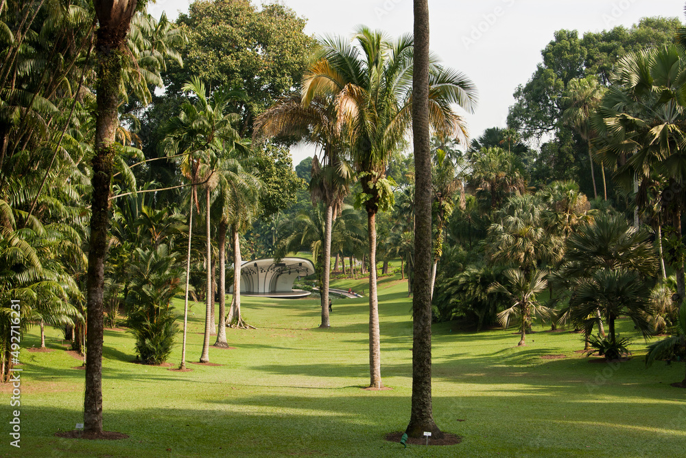 Lawn and many different kind of lush palm trees at the Botanic Gardens in Singapore on a sunny day. Lawn and many different kind of lush palm trees at the Botanic Gardens in Singapore on a sunny day.