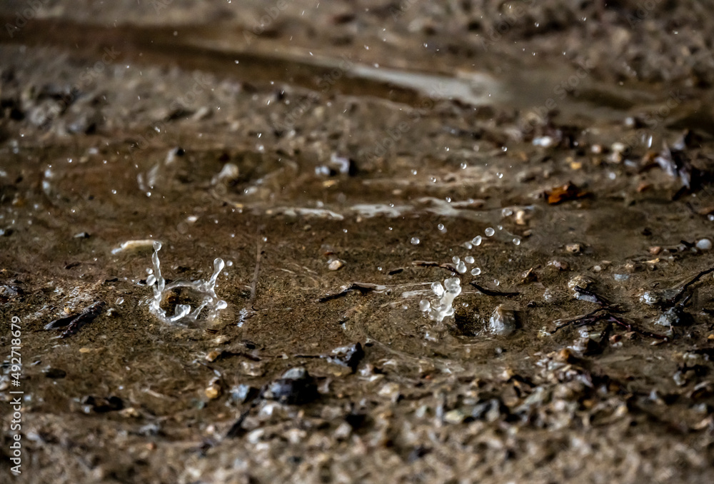 raindrops fall on brown sand and create magical shapes raindrops fall on brown sand and create magical shapes