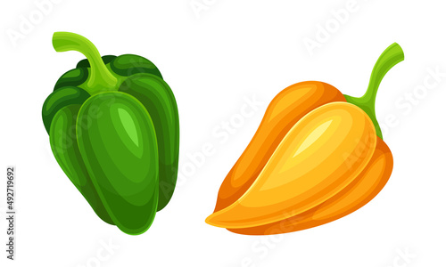 Green and orange pepper fresh organic healthy vegetable set vector illustration