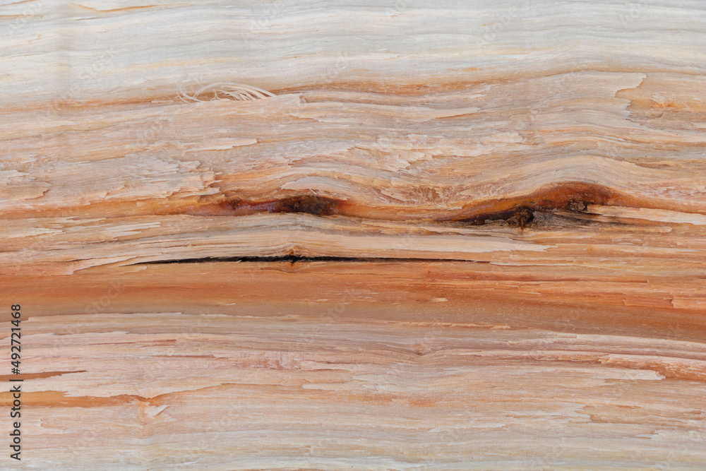 Naklejka premium Closeup of split wood texture - perfect for background