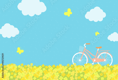 vector background with a bicycle on the canola flower field for banners, cards, flyers, social media wallpapers, etc.