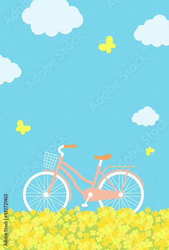 vector background with a bicycle on the canola flower field for banners, cards, flyers, social media wallpapers, etc.