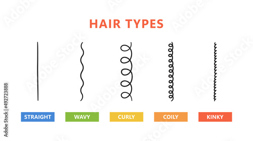 Classification of hair types - straight, wavy, curly, coily, kinky. Scheme of different types of hair. Curly girl method. Vector illustration on white background.