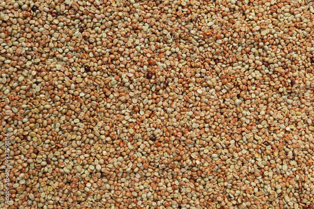 Close up of coffee beans for background Close up of coffee beans for background