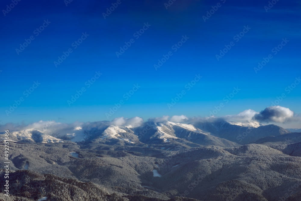 Aerial view of frozen trees in a cold forest in winter, winter images. Snow covered mountain peaks in background