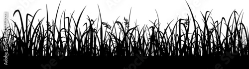 Grass Illustrations Grass SVG EPS PNG