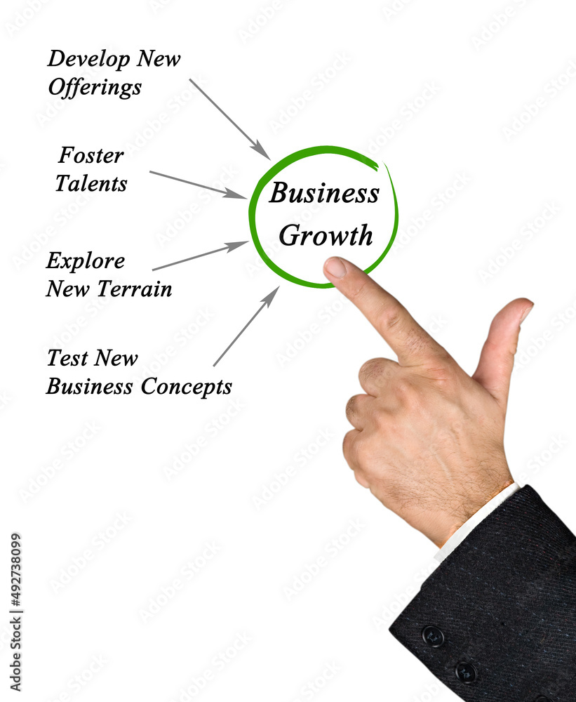 Four drivers of business growth Four drivers of business growth