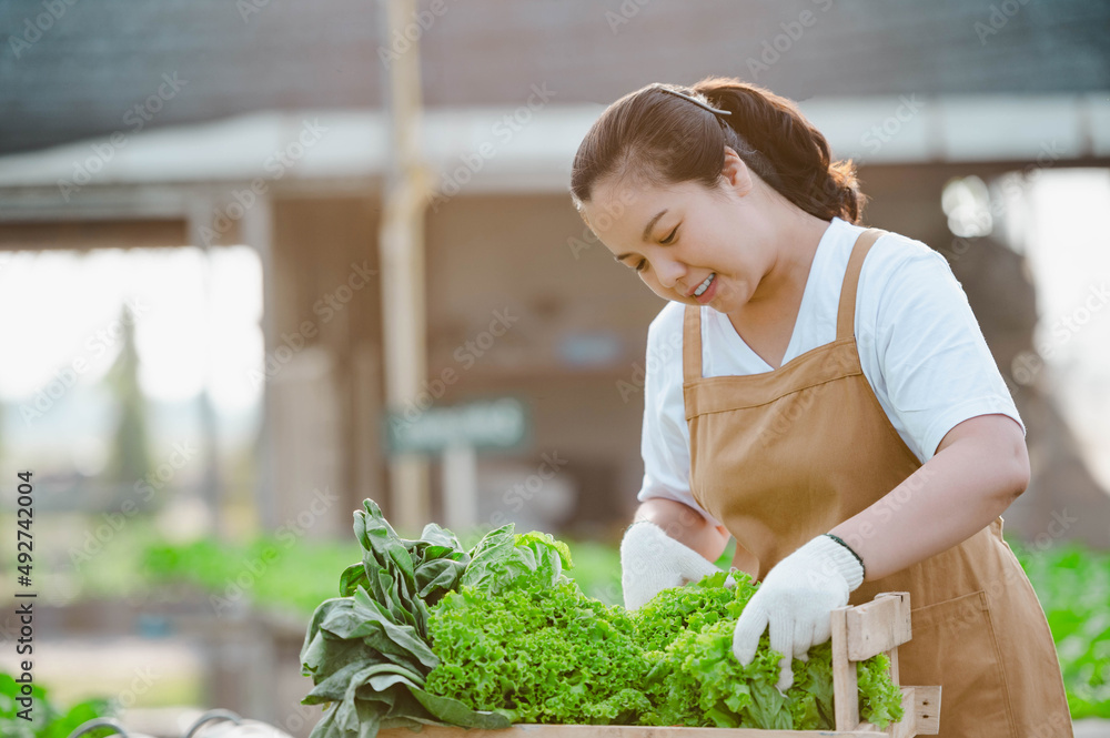 Obraz premium Farmer woman holding wooden box full of fresh raw vegetables