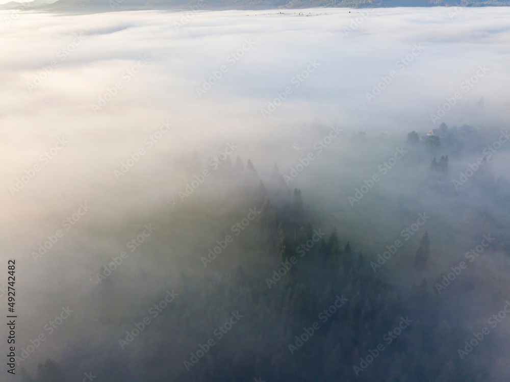 Fog envelops the mountain forest. The rays of the rising sun break through the fog. Aerial drone view. Fog envelops the mountain forest. The rays of the rising sun break through the fog. Aerial drone view.