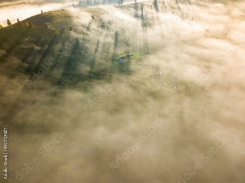 Fog envelops the mountain forest. The rays of the rising sun break through the fog. Aerial drone view.