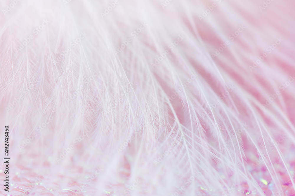 Obraz premium White bird feather over pink background close-up. Soft, lightweight feather wallpaper.