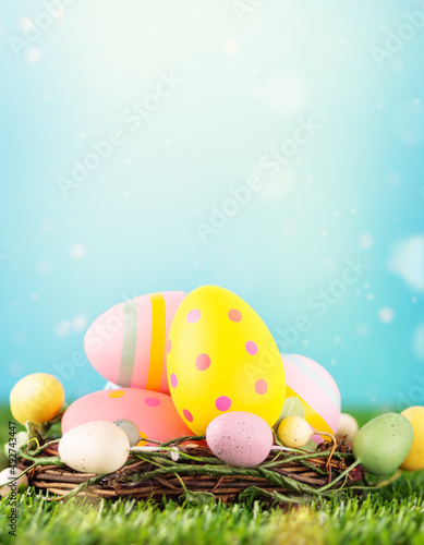 Canvas Print Multi coloured easter eggs in nest on meadow