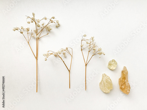 Set of natural resins and twigs of dried flowers , frankincense close-up on a white background	