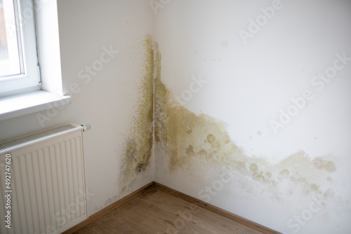 Canvastavla strong mildew in large stains is located on white interior wall in apartment