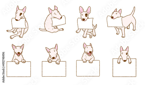 Cartoon bull terrier dog with blank paper. Dog above banner or sign illustration