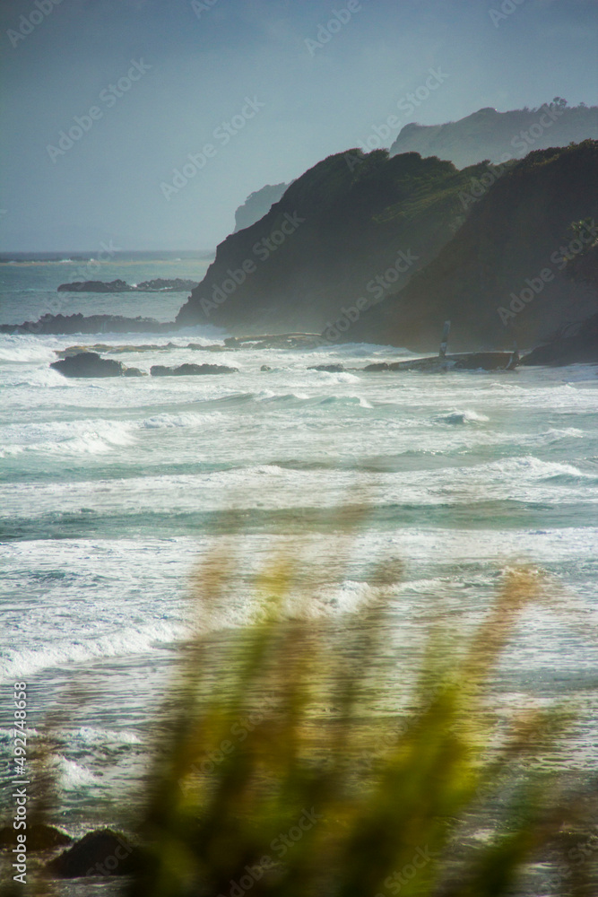 Obraz premium Tropical Island 