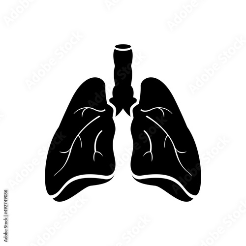 Lungs