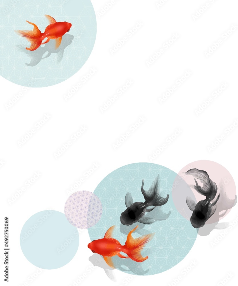 黒と赤の金魚が泳ぐかわいいデザインの白バックベクター夏フレーム素材 Stock Vector Adobe Stock